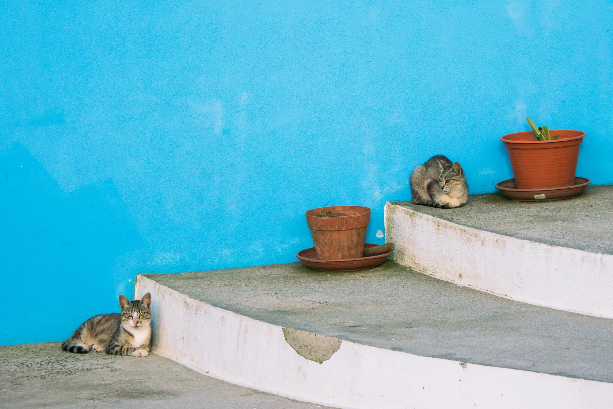 Front step, Biscoitos. 2018.